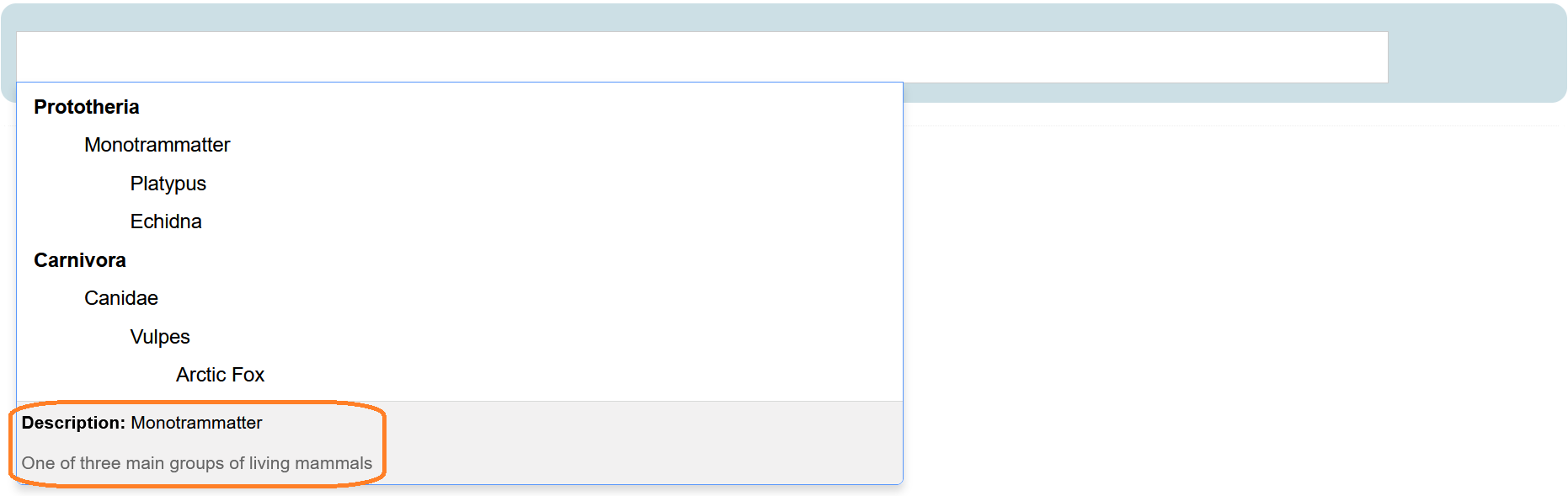 5Choice List.png